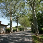 Avenue du Lauragais.jpg